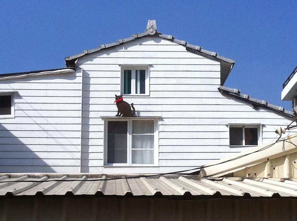 Sugozen Daire Tainan Dış mekan fotoğraf